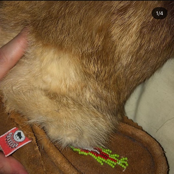 Authentic Moccasins! - Picture 4 of 4